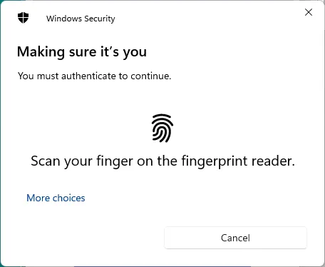 Verify user with Windows Hello